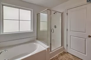 1127 Portrait Hill Dr, Chapin, SC 29036 - Photo 21