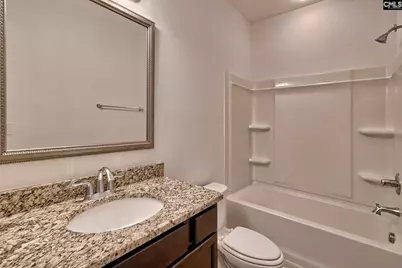 1127 Portrait Hill Drive, Chapin, SC 29036 - Photo 33