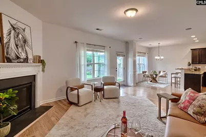 1127 Portrait Hill Drive, Chapin, SC 29036 - Photo 13