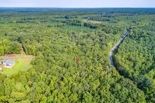 911 Barfield Rd, Elgin, SC 29045 - Photo 3