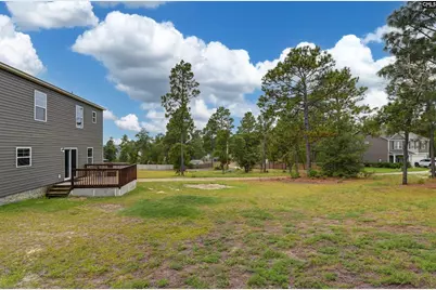 416 Sasanqua Lane, Lexington, SC 29073 - Photo 49