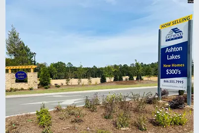 270 Secretariat Street, Lexington, SC 29073 - Photo 33