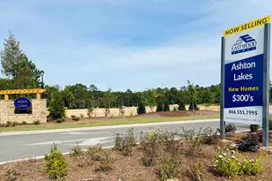 270 Secretariat St, Lexington, SC 29073 - Photo 33