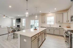 593 Bee Balm Dr, Blythewood, SC 29016 - Photo 11