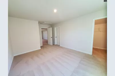 351 Chapin Place Way, Chapin, SC 29036 - Photo 23
