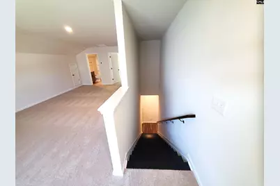 351 Chapin Place Way, Chapin, SC 29036 - Photo 21