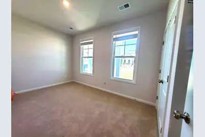 351 Chapin Place Way, Chapin, SC 29036 - Photo 19