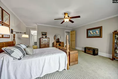 155 Stoney Point Lane, Chapin, SC 29036 - Photo 51