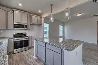20 Healy Way, Blythewood, SC 29016 - Photo 13