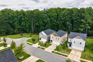 334 Liliana Dr, Columbia, SC 29223 - Photo 45
