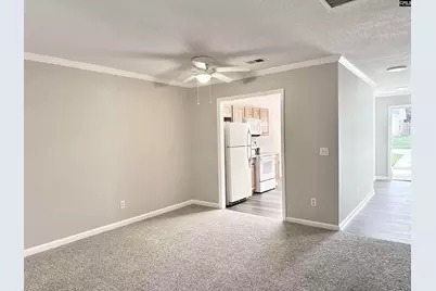 109 Owl Trace Lane, Chapin, SC 29036 - Photo 5