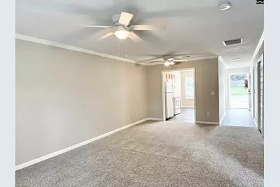 109 Owl Trace Lane, Chapin, SC 29036 - Photo 3