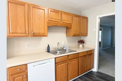 109 Owl Trace Lane, Chapin, SC 29036 - Photo 7