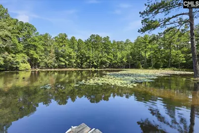 401 Pine Grove Road, Blythewood, SC 29016 - Photo 83