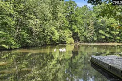 401 Pine Grove Road, Blythewood, SC 29016 - Photo 81