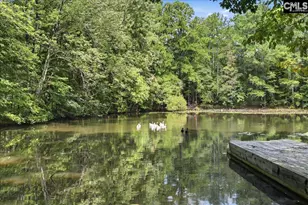 401 Pine Grove Rd, Blythewood, SC 29016 - Photo 81