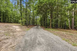 401 Pine Grove Rd, Blythewood, SC 29016 - Photo 7