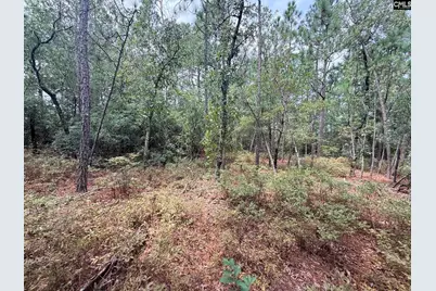 731 Edisto Lake Road, Wagener, SC 29164 - Photo 9