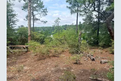 731 Edisto Lake Road, Wagener, SC 29164 - Photo 13