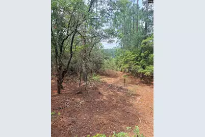 731 Edisto Lake Road, Wagener, SC 29164 - Photo 11