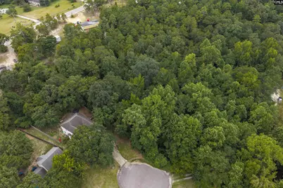 119 Painted Pony Court #12, Elgin, SC 29045 - Photo 3