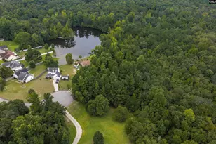 223 Painted Pony Ct, Elgin, SC 29045 - Photo 1