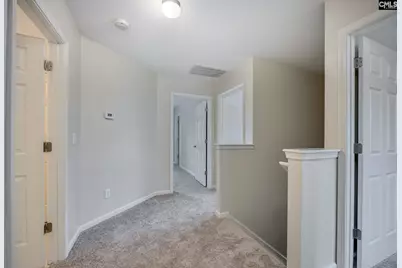 110 Spring Frost Drive, Lexington, SC 29072 - Photo 57