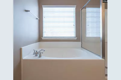 110 Spring Frost Drive, Lexington, SC 29072 - Photo 37