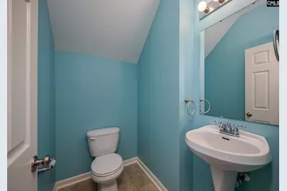 110 Spring Frost Drive, Lexington, SC 29072 - Photo 25
