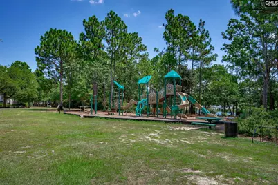 110 Spring Frost Drive, Lexington, SC 29072 - Photo 71