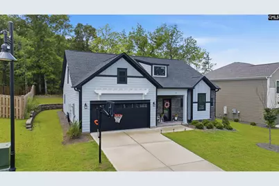 149 Collins Cove Drive, Chapin, SC 29036 - Photo 3