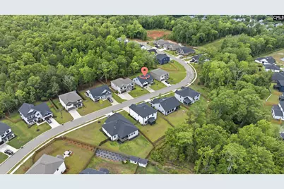 149 Collins Cove Drive, Chapin, SC 29036 - Photo 29