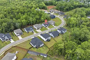 149 Collins Cv Dr, Chapin, SC 29036 - Photo 29