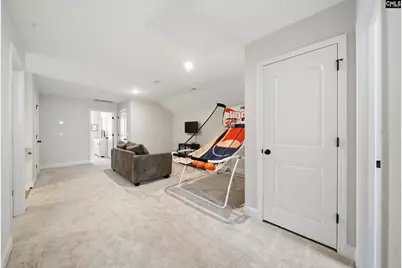 149 Collins Cove Drive, Chapin, SC 29036 - Photo 21