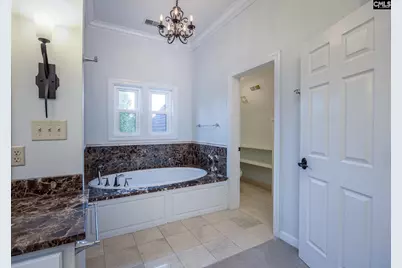 227 Holly Ridge Lane, West Columbia, SC 29169 - Photo 43