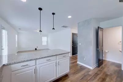 185 Windfall Road, Blythewood, SC 29016 - Photo 19