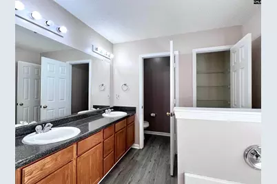 523 Whitewater Drive, Irmo, SC 29063 - Photo 15