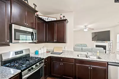 363 Explorer Drive, Chapin, SC 29063 - Photo 17
