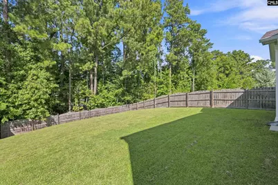 363 Explorer Drive, Chapin, SC 29063 - Photo 39