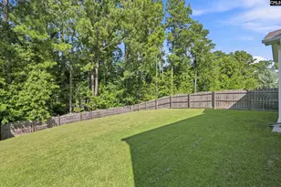 363 Explorer Dr, Chapin, SC 29063 - Photo 39