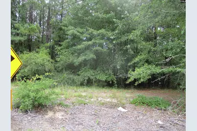 270 Clearwater Road, Camden, SC 29020 - Photo 1
