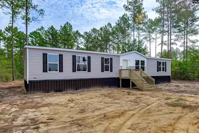 383 Otis Baughman S.R. Road, Wagener, SC 29164 - Photo 5
