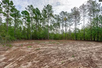 383 Otis Baughman S.R. Road, Wagener, SC 29164 - Photo 41