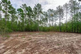 383 Otis Baughman Sr Rd, Wagener, SC 29164 - Photo 41