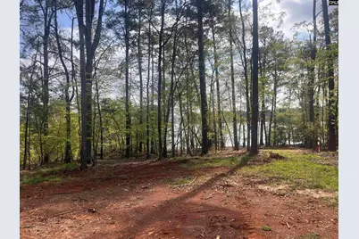 193 Lands End Drive, Prosperity, SC 29127 - Photo 27