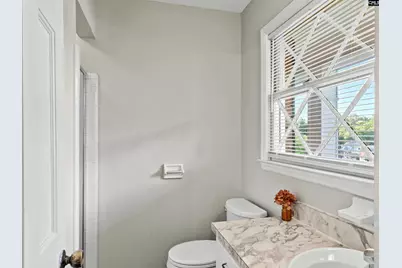 333 Lewisham Road, Columbia, SC 29210 - Photo 29