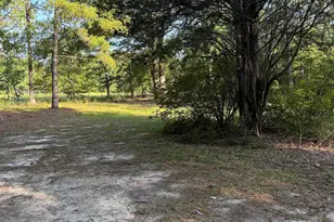 207 Lee St, Kershaw, SC 29067 - Photo 19