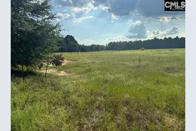 0 Mary Rawls Road, Wagener, SC 29164 - Photo 3