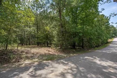 231 Tortoise Trail, Batesburg, SC 29006 - Photo 5