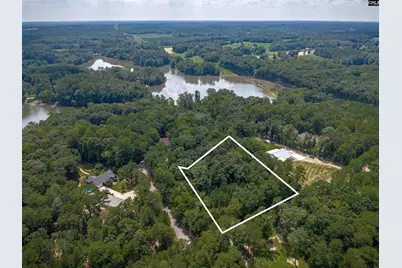 231 Tortoise Trail, Batesburg, SC 29006 - Photo 29